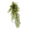 Hot Sale 👏 12 Pack: Green Springeri Fern Bush by Ashland® ✨