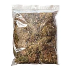 Best Pirce 🌟 12 Pack: Decorative Moss by Ashland® ✨ -Ashlandty Shop MP341503 20