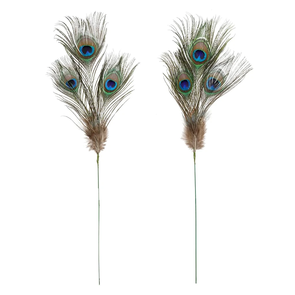 Deals ⭐ 12 Pack: Peacock Feather Picks by Ashland® 🤩 3 Deals ⭐ 12 Pack: Peacock Feather Picks by Ashland® 🤩