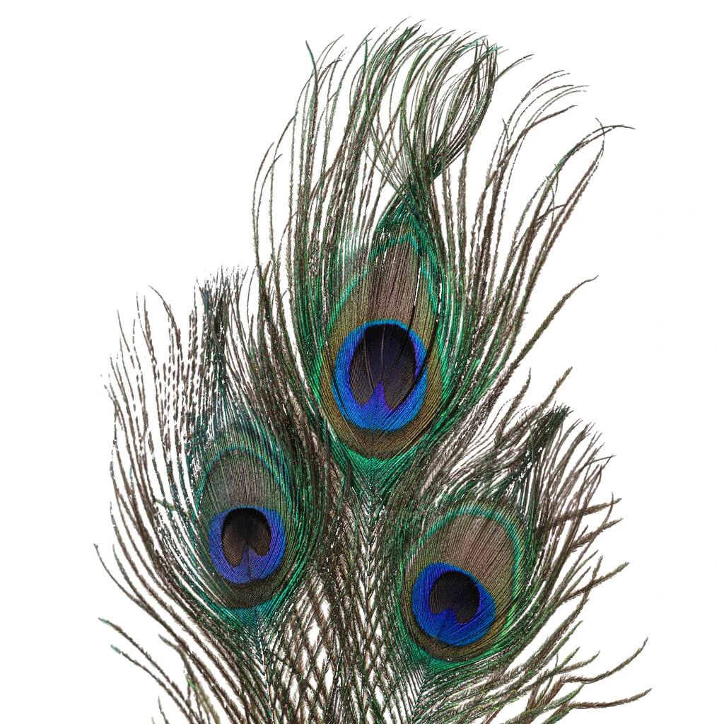 Deals ⭐ 12 Pack: Peacock Feather Picks by Ashland® 🤩 5 Deals ⭐ 12 Pack: Peacock Feather Picks by Ashland® 🤩 - Image 3