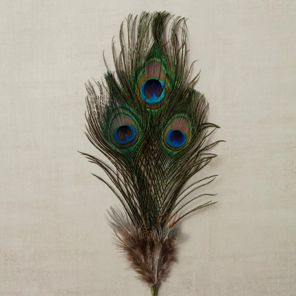 Deals ⭐ 12 Pack: Peacock Feather Picks by Ashland® 🤩 6 Deals ⭐ 12 Pack: Peacock Feather Picks by Ashland® 🤩 - Image 4