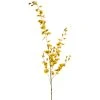 Buy 🌟 12 Pack: Yellow Dancing Orchid by Ashland® ❤️ -Ashlandty Shop MP381029 1
