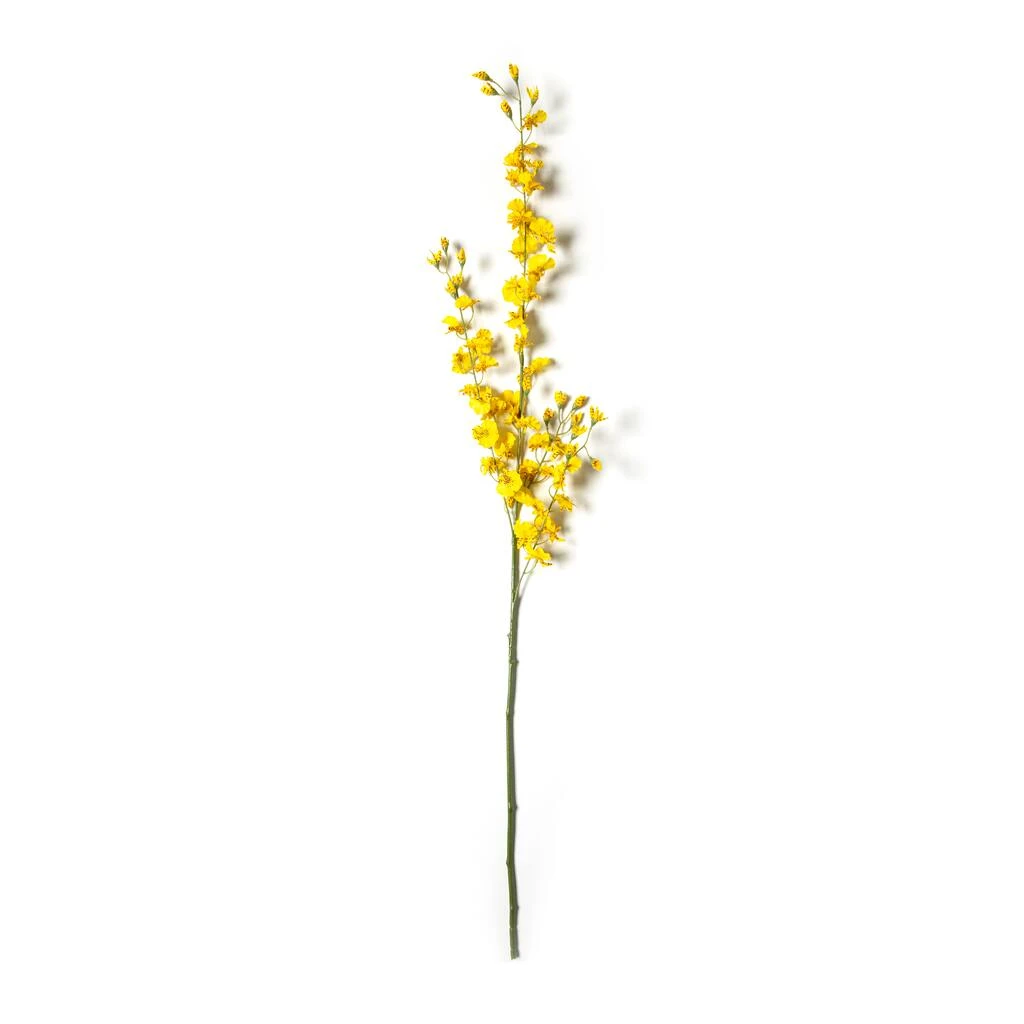 Buy 🌟 12 Pack: Yellow Dancing Orchid by Ashland® ❤️ 4 Buy 🌟 12 Pack: Yellow Dancing Orchid by Ashland® ❤️ - Image 2