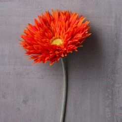 Best Pirce ✨ 12 Pack: Orange Spider Gerbera Daisy Spray by Ashland® ✔️ 12 Best Pirce ✨ 12 Pack: Orange Spider Gerbera Daisy Spray by Ashland® ✔️ -Ashlandty Shop MP392668 22