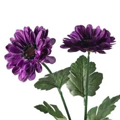 New βοΈ 12 Pack: Purple Zinnia Mum Spray by Ashland® π 9 New βοΈ 12 Pack: Purple Zinnia Mum Spray by Ashland® π -Ashlandty Shop MP392967 20