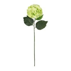 Top 10 🧨 12 Pack: Green Hydrangea Stem by Ashland® 🌟