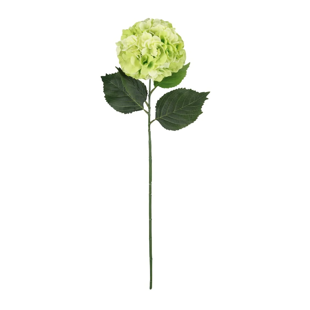 Top 10 𧨠12 Pack: Green Hydrangea Stem by Ashland® π 3 Top 10 𧨠12 Pack: Green Hydrangea Stem by Ashland® π