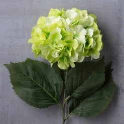 Top 10 𧨠12 Pack: Green Hydrangea Stem by Ashland® π 8 Top 10 𧨠12 Pack: Green Hydrangea Stem by Ashland® π -Ashlandty Shop MP400667 22
