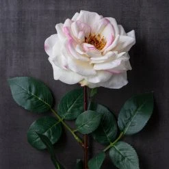 Best deal 🎉 12 Pack: Cream Hydrangea Stem by Ashland® 🧨 -Ashlandty Shop MP400668 22