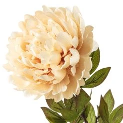 New 🎉 12 Pack: Cream Peony Stem by Ashland® 👏 -Ashlandty Shop MP402091 20
