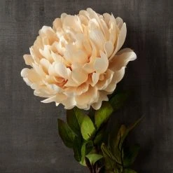 New 🎉 12 Pack: Cream Peony Stem by Ashland® 👏 -Ashlandty Shop MP402091 25