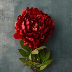 Budget ⭐ 12 Pack: Red Peony Stem by Ashland® 🥰 -Ashlandty Shop MP402092 20
