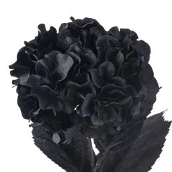 Discount ❤️ 12 Pack: Black Hydrangea Stem by Ashland® 👏 -Ashlandty Shop MP402858 20