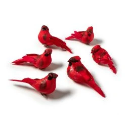 Brand new β 8 Packs: 6 ct. (48 total) Red Cardinal Set by Ashland® π 11 Brand new β 8 Packs: 6 ct. (48 total) Red Cardinal Set by Ashland® π -Ashlandty Shop MP407691 21