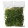 Best reviews of 🥰 12 Pack: Forest Green Preserved Moss by Ashland® ⌛ 1 Best reviews of 🥰 12 Pack: Forest Green Preserved Moss by Ashland® ⌛ -Ashlandty Shop MP407975 1