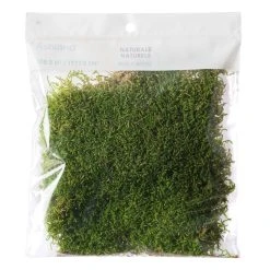 Best reviews of π₯° 12 Pack: Forest Green Preserved Moss by Ashland® β