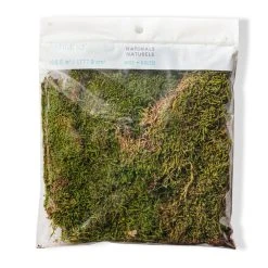 Best reviews of 🥰 12 Pack: Forest Green Preserved Moss by Ashland® ⌛ -Ashlandty Shop MP407975 20