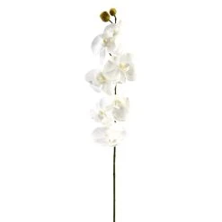 Brand new 🤩 16 Pack: White Moth Orchid Stem by Ashland® ✨