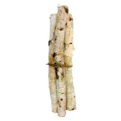 Coupon 🎁 6 Pack: Birch Log Bundle by Ashland® 👍 -Ashlandty Shop MP425159 2