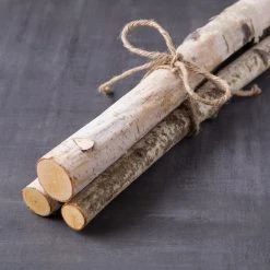 Coupon 🎁 6 Pack: Birch Log Bundle by Ashland® 👍 -Ashlandty Shop MP425159 22