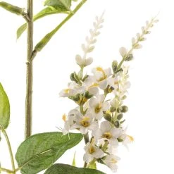 Best deal 🔥 6 Pack: Cream Hybrid Spirea Spray by Ashland® ✨ -Ashlandty Shop MP430240 20