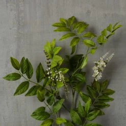 Best deal 🔥 6 Pack: Cream Hybrid Spirea Spray by Ashland® ✨ -Ashlandty Shop MP430240 25