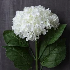 Brand new ✨ 8 Pack: Cream Hydrangea Stem by Ashland® ❤️ 8 Brand new ✨ 8 Pack: Cream Hydrangea Stem by Ashland® ❤️ -Ashlandty Shop MP430287 22