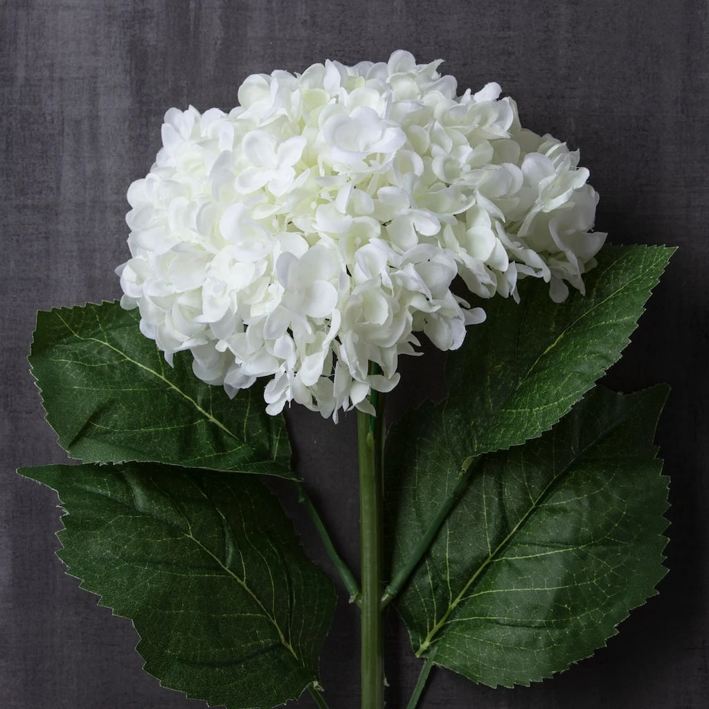 Brand new ✨ 8 Pack: Cream Hydrangea Stem by Ashland® ❤️ 5 Brand new ✨ 8 Pack: Cream Hydrangea Stem by Ashland® ❤️ - Image 3