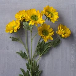 Cheap ⭐ 12 Pack: Gold Daisy Mum Spray by Ashland® 💯 -Ashlandty Shop MP430308 22