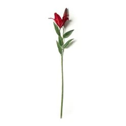 Wholesale 🔥 12 Pack: Red Casablanca Lily Stem by Ashland® ✔️ -Ashlandty Shop MP430444 21