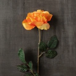 Hot Sale 😍 12 Pack: Salmon Rose Stem by Ashland® ✔️ -Ashlandty Shop MP450088 25