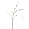 Discount ⌛ 18 Pack: Pussy Willow Stem by Ashland® 👍 -Ashlandty Shop MP450208 1