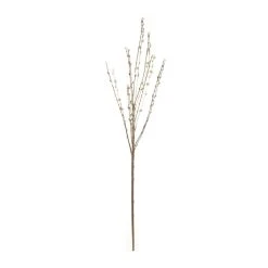 Discount ⌛ 18 Pack: Pussy Willow Stem by Ashland® 👍 -Ashlandty Shop MP450208 21