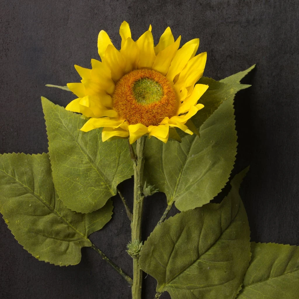 Discount β¨ 6 Pack: Yellow Sunflower Stem by Ashland® π 5 Discount β¨ 6 Pack: Yellow Sunflower Stem by Ashland® π - Image 3
