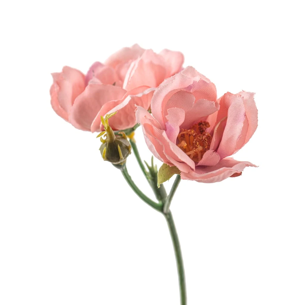 Budget ❤️ 12 Pack: Pink Kate Rose Spray by Ashland® ⌛ 5 Budget ❤️ 12 Pack: Pink Kate Rose Spray by Ashland® ⌛ - Image 3