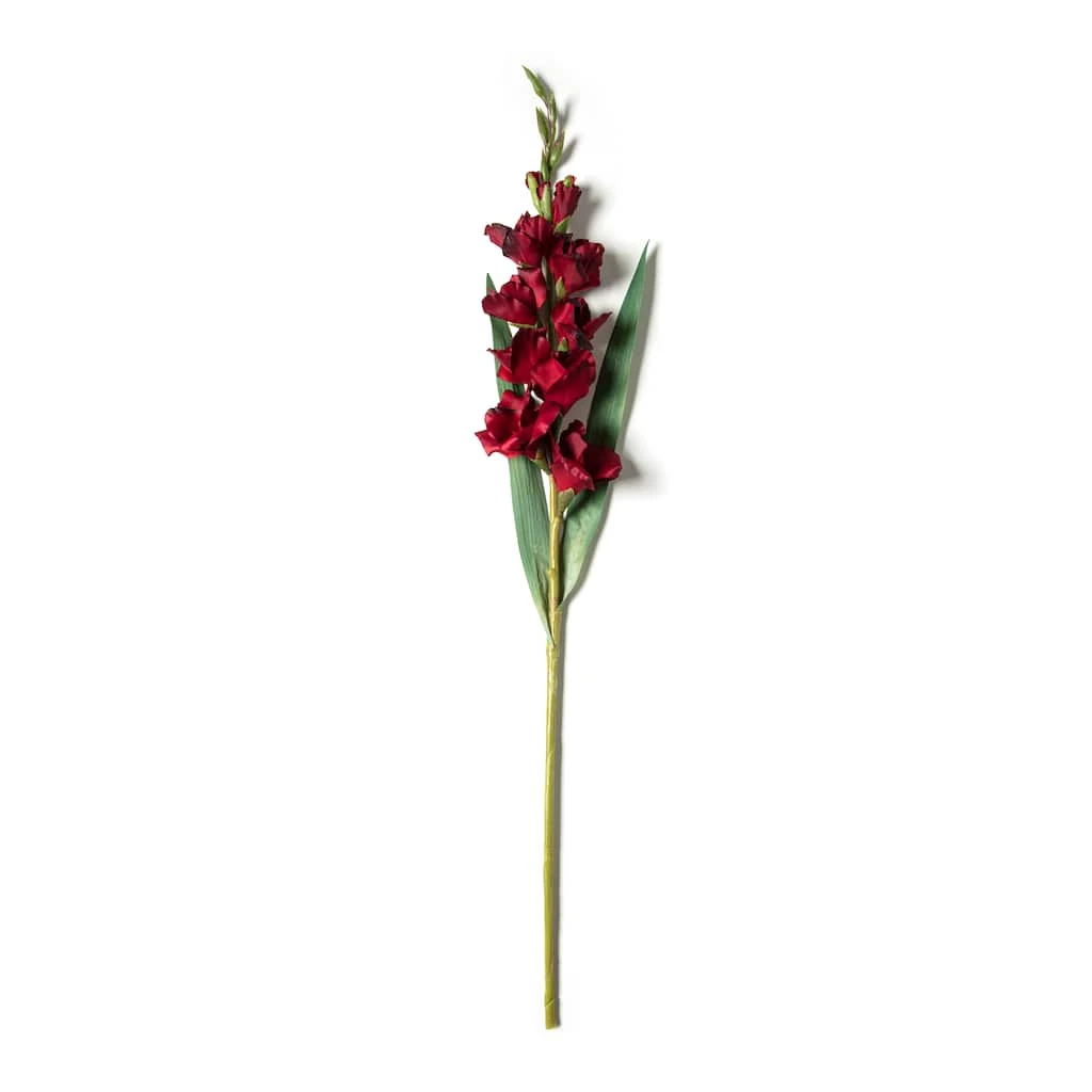 Hot Sale ✔️ 12 Pack: Burgundy Gladiolus Stem by Ashland® ✨ 4 Hot Sale ✔️ 12 Pack: Burgundy Gladiolus Stem by Ashland® ✨ - Image 2