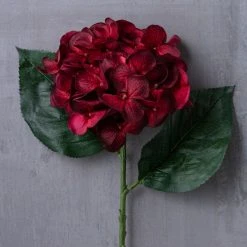 Budget 💯 12 Pack: Burgundy Hydrangea Stem by Ashland® ⭐ -Ashlandty Shop MP451148 22