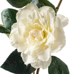 Coupon ✔️ 6 Pack: White Camellia Spray by Ashland® 🧨 -Ashlandty Shop MP451150 20