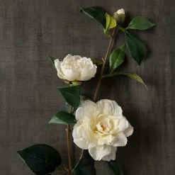Coupon ✔️ 6 Pack: White Camellia Spray by Ashland® 🧨 -Ashlandty Shop MP451150 25