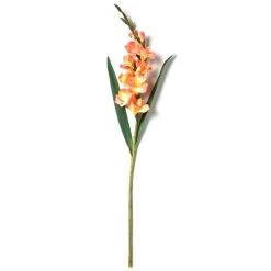 New ⌛ 12 Pack: Salmon Gladiolus Stem by Ashland® ✨ -Ashlandty Shop MP451152 21