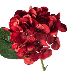 Discount 🎁 12 Pack: Red Hydrangea Stem by Ashland® 💯 -Ashlandty Shop MP451155 20