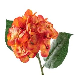 Flash Sale 🔔 12 Pack: Orange Hydrangea Stem by Ashland® 🌟 -Ashlandty Shop MP451157 20