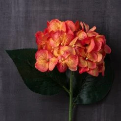 Flash Sale 🔔 12 Pack: Orange Hydrangea Stem by Ashland® 🌟 -Ashlandty Shop MP451157 22