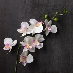 Best deal π₯° 12 Pack: Cream & Pink Orchid Spray by Ashland® π 7 Best deal π₯° 12 Pack: Cream & Pink Orchid Spray by Ashland® π -Ashlandty Shop MP459034 22