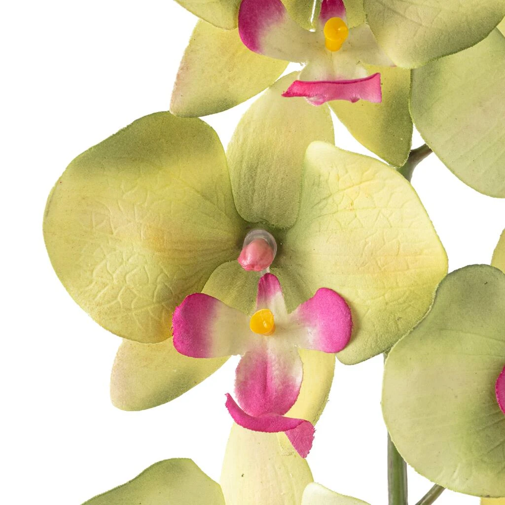 Top 10 β 12 Pack: Green & Pink Orchid Spray by Ashland® π₯ 6 Top 10 β 12 Pack: Green & Pink Orchid Spray by Ashland® π₯ - Image 4