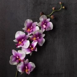 Coupon ⌛ 12 Pack: Pink & White Orchid Spray by Ashland® 😉 -Ashlandty Shop MP459037 22