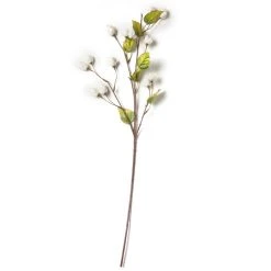 New 👍 12 Pack: Cream Hops Spray by Ashland® 🛒 -Ashlandty Shop MP461196 21