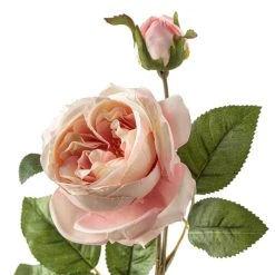 Flash Sale ❤️ 12 Pack: Light Pink English Rose Stem by Ashland® 🛒 -Ashlandty Shop MP461605 20