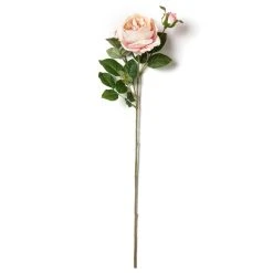 Flash Sale ❤️ 12 Pack: Light Pink English Rose Stem by Ashland® 🛒 -Ashlandty Shop MP461605 21