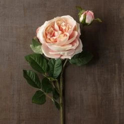 Flash Sale ❤️ 12 Pack: Light Pink English Rose Stem by Ashland® 🛒 -Ashlandty Shop MP461605 25